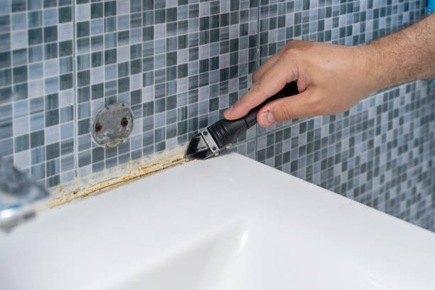 Best Mold Testing  in Madelia, MN